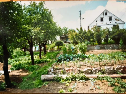 Życie w ashramie 2001-2012 - zdjęcie - 34