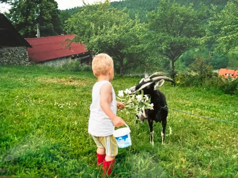 Życie w ashramie 2001-2012 - zdjęcie - 38