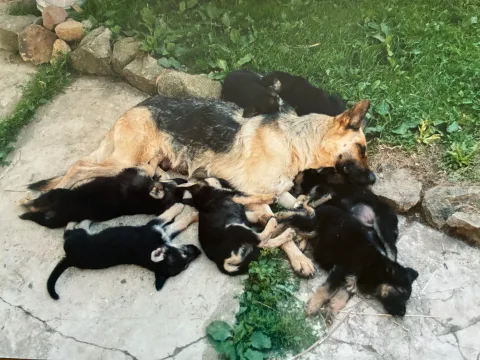 Życie w ashramie 2001-2012 - zdjęcie - 39