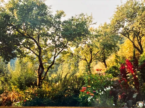 Życie w ashramie 2001-2012 - zdjęcie - 40