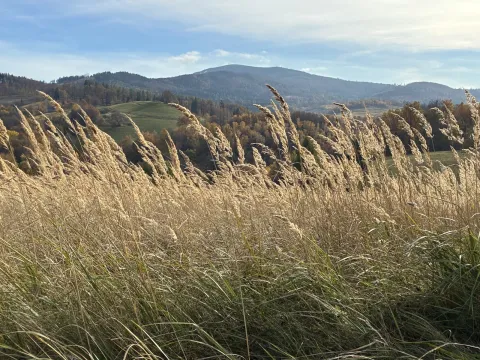 Jesienna łąka z widokiem na Góry Złote