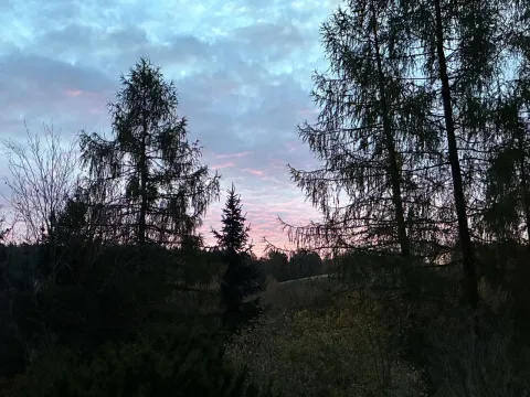 Zachód słońca z sylwetkami drzew w ogrodzie aszramu